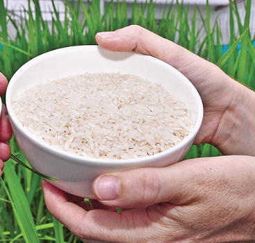 Nutritional and value aspects of rice